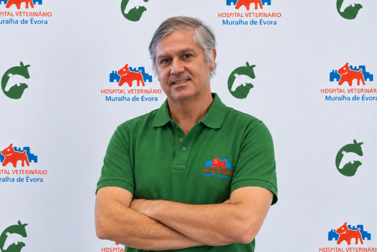 José Miguel Leal da Costa