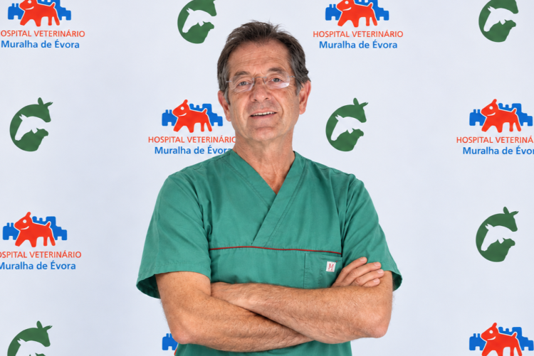 Pedro Dunões
